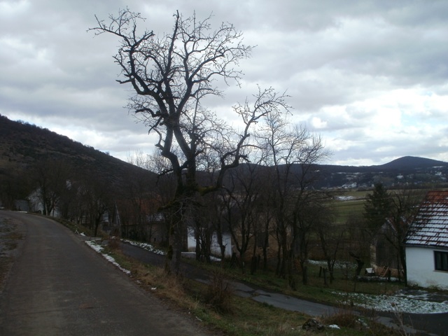 Blagoslov u Polju - Rukavine i Škorići...