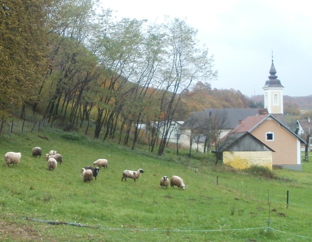 Čestitka usred mjeseca...