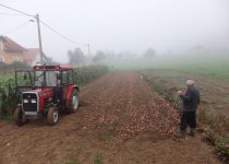 Prikupljanje plodova zemlje za sjemenište u Rijeci