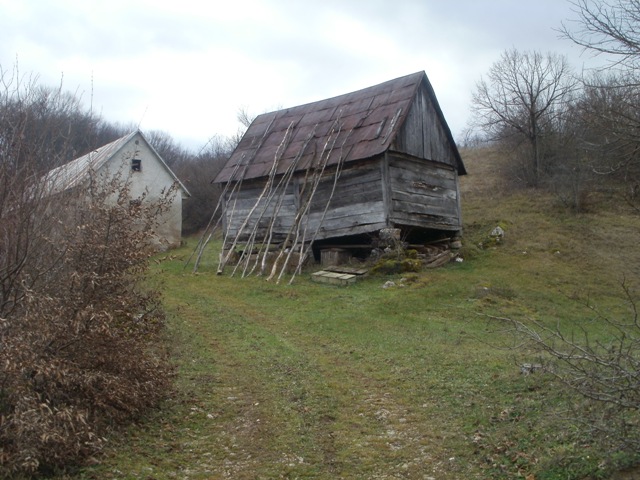 BLAGOSLOV - prvi dan