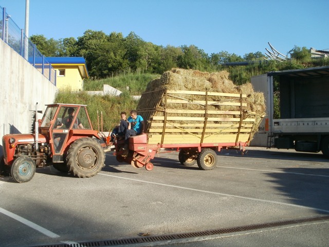 Karitas - sijeno za Slavoniju