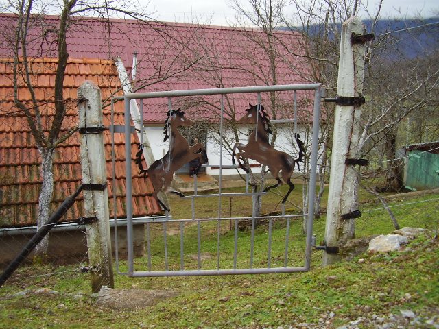 BLAGOSLOV - (drugi tjedan) peti dan!